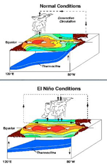 Model showing condition changes