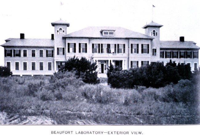 The Fish Commissions laboratory in Beaufort, North Carolina, in 1902.
