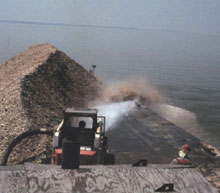 Farm-raised oysters are added to reef habitat in the Chesapeake Bay.