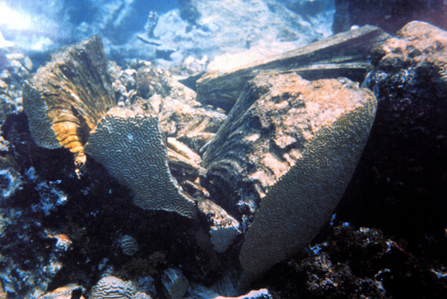 Ship groundings are serious threats to coral reefs.