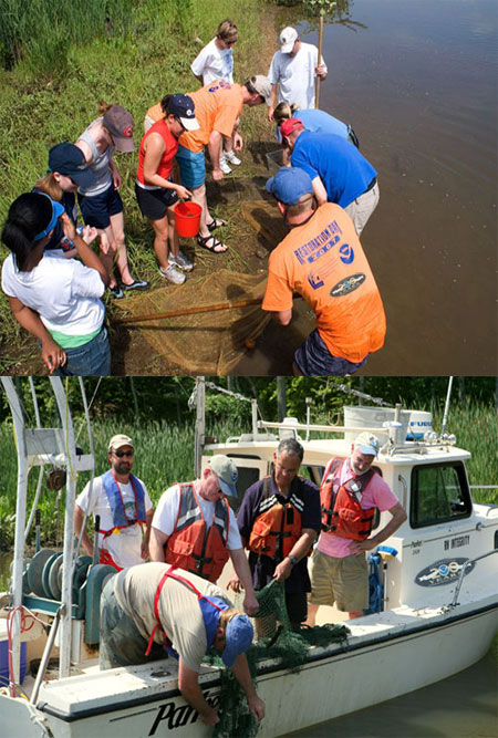 On June 12, hundreds of NOAA employees and partners participated in the 4th annual NOAA Restoration Day
