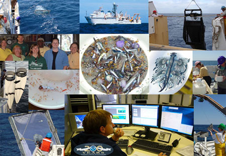 The scientists and crew aboard the NOAA Ship GORDON GUNTER