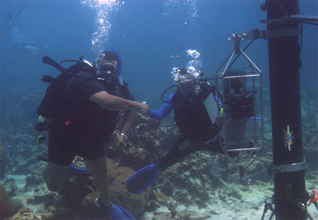 NOAA's Integrated Coral Observing Network