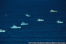 Marine resource scientists and managers consider the sport fishing is one sector of ocean uses.  