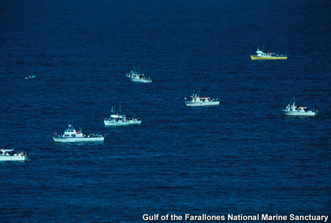 Marine resource scientists and managers consider the sport fishing is one sector of ocean uses.