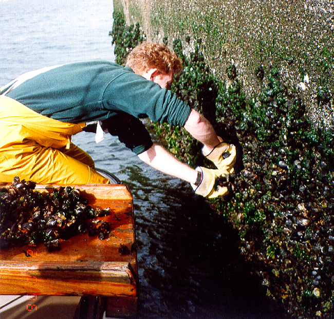 collecting samples