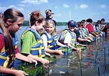 Restoration projects provide unique opportunities to educate the community about the benefits of coastal habitat restoration and creates an opportunity for hands-on involvement.