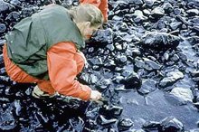A NOAA scientist surveying an oiled beach to assess the depth of oil penetration soon after the spill.