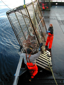 modern North Pacific crab fishery