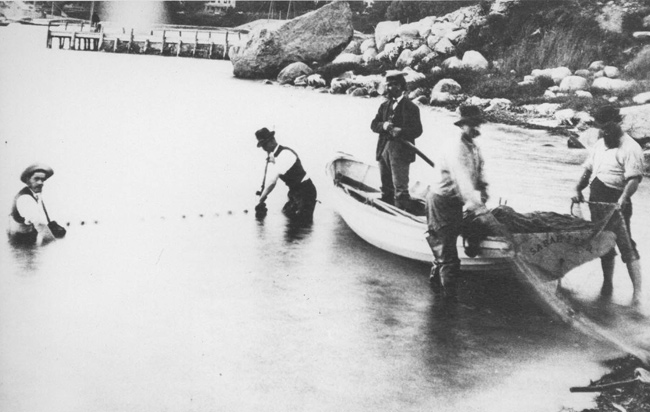 Field sampling from in waters off Woods Hole in the late 19th century