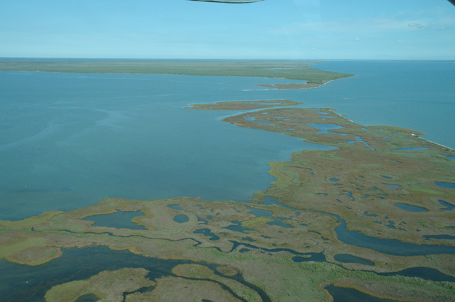 Wetlands image - Mission Copano Bay at Mission-Aransas National Estuarine Research Reserve in Texas