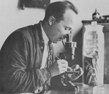 O. E. Sette, Director of the Bureau of Commercial Fisheries Laboratory in 1929.