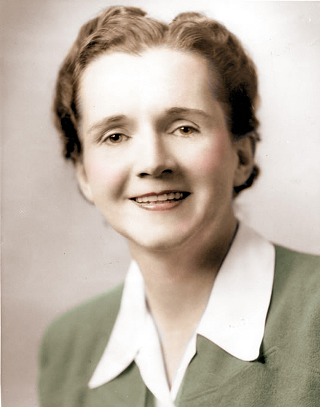 Best known for writing Silent Spring, ecologist and author Rachel Carson started out as a marine biology student.