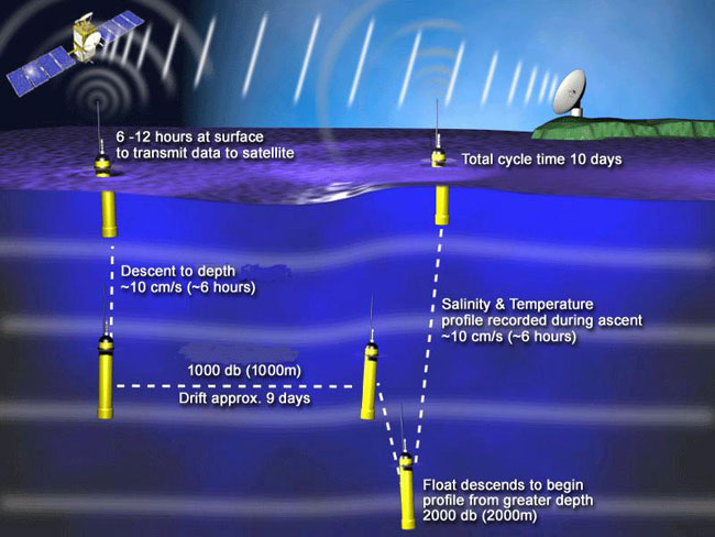 Operational cycle of an Argo float