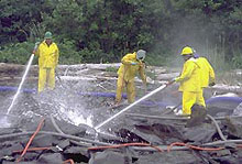 Workers clean a shoreline