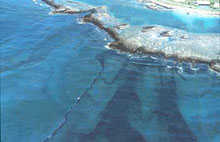  Oil slicks moving onto coral reefs at Galeta at low tide; Bahia las Minas refinery spill, Panama, April, 1986.