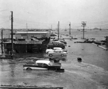 Photo of Crescent City in 1960