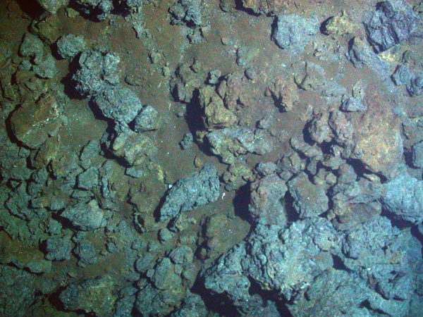 Mineral sediment precipitated out of the vent fluid