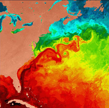 Satellite image of Atlantic sea surface temperatures