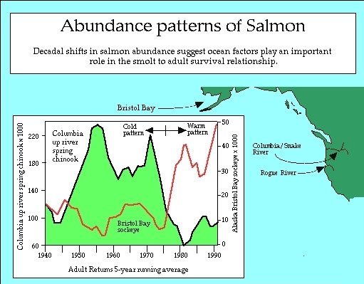 Numbers of salmon returning to Alaska and Washington/Oregon showed opposite  patterns from 1950-1990