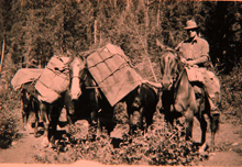 IMETs  preparing to travel to fire camp, circa 1920