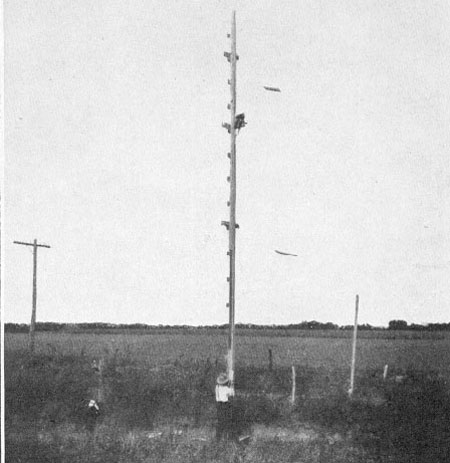 Signal Mast of 1917