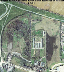 aerial photograph shows the Poplar Point marsh restoration site.