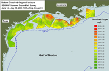This map shows bottom dissolved oxygen contours in the Gulf of Mexico taken July 14-16, 2006.