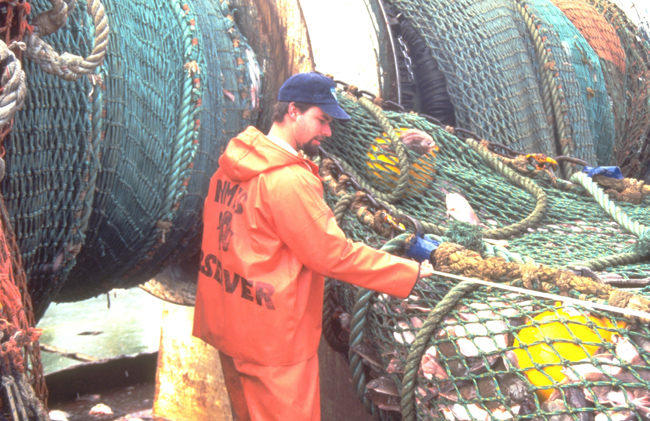 A vast NOAA Fisheries Service observer network to obtain data on directed catch and bycatch is a critical part of the ecosystem assessment program.