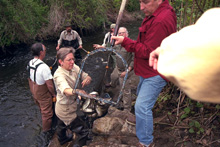 Residents  of Town Brook Transporting Fish