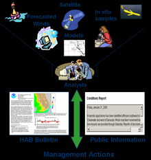HAB Bulletin illustration
