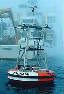 Example of a Deep-ocean Assessment and Reporting of Tsunamis, or DART, buoy.