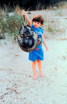 A young naturalist inspects an empty horseshoe crab shell