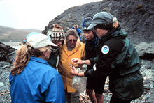 Visitors learning about an intertidal region