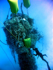 A NOAA scientist removes derelict fishing gear