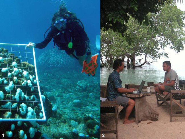 Reef monitoring and resource manager training