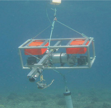 The Bottom fish Camera (BotCam) with digital video recorder, underwater video cameras, pressure housing for the electronics, and buoyancy control foam