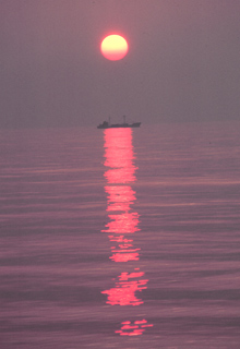 A cargo  vessel caught in the rays of the setting sun