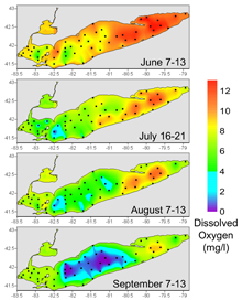 Lake Erie - Seasonal changes in near-bottom dissolved oxygen concentrations collected during 2005.