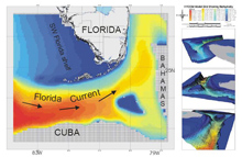 This image depicts a basic model grid/domain for the South Florida Hybrid Coordinate System Model that illustrates the movement of bottom water into the model.