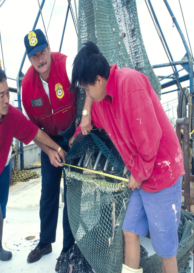 NOAA Fisheries Enforcement Officer makes sure that a Turtle Excluder Device (TED) fits securely into a Gulf of Mexico shrimp net.